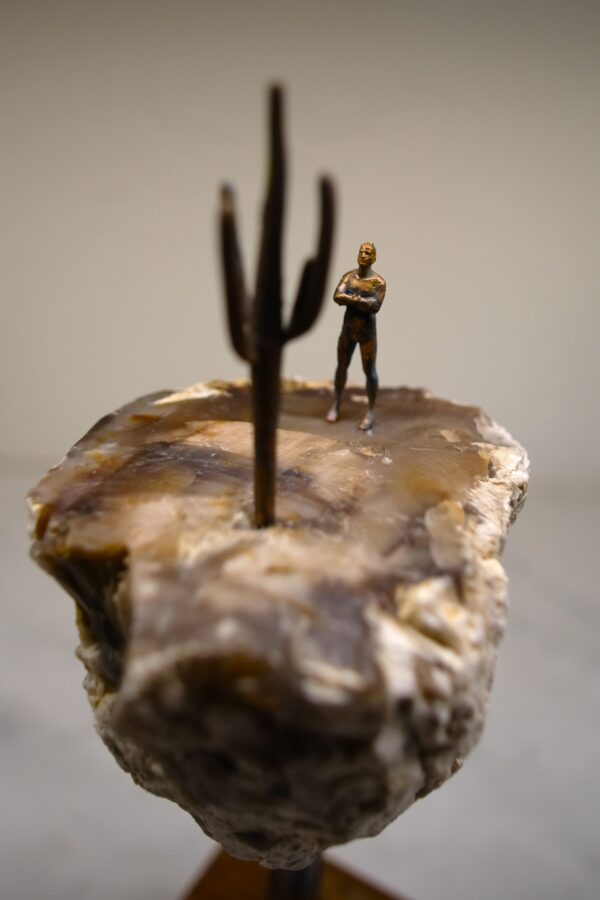 Desert 001 - Image 5
