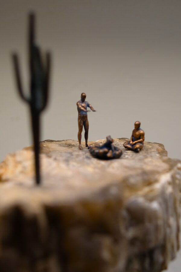 Desert 002 - Image 6