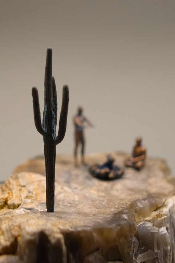 Desert 002 - Image 5