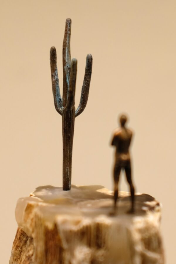 Desert 003 - Image 5