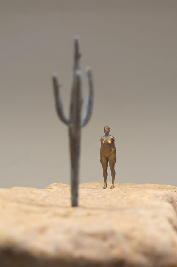 Desert 004 - Image 5