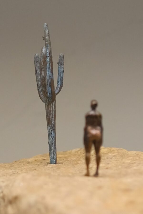 Desert 004 - Image 6