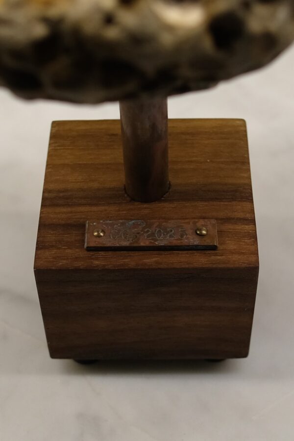 Astro 005 - Image 7